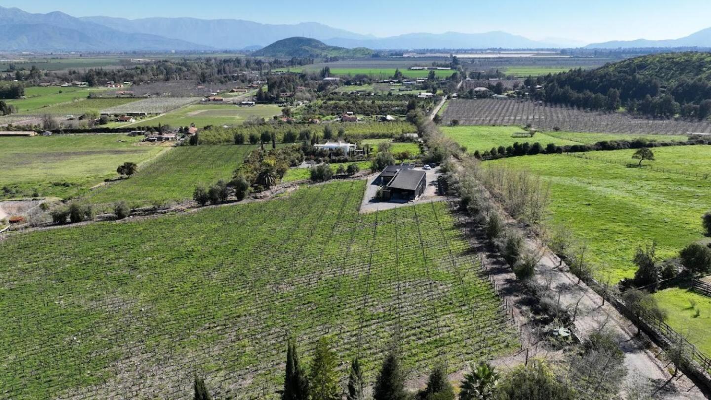 Vina Lof - Maipo Valley Bed & Breakfast In Winery Paine Eksteriør bilde