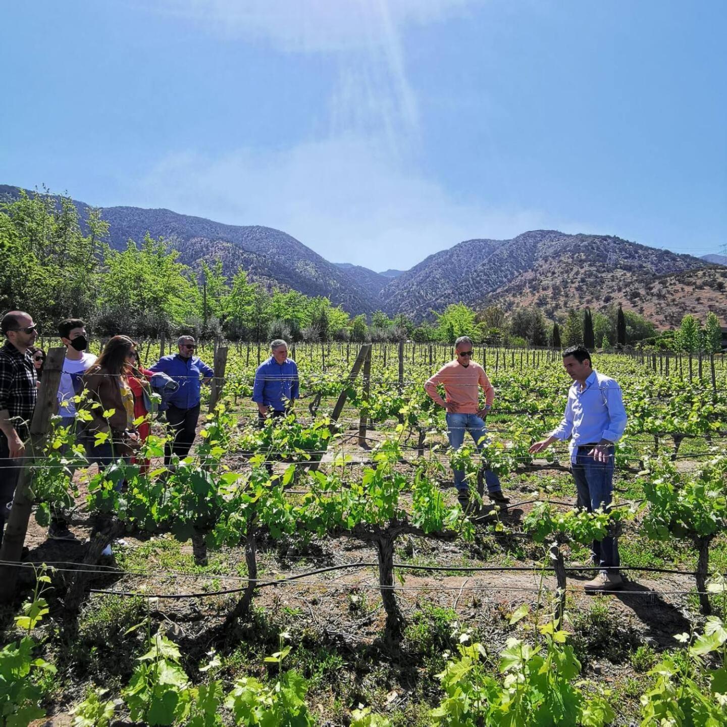 Vina Lof - Maipo Valley Bed & Breakfast In Winery Paine Eksteriør bilde