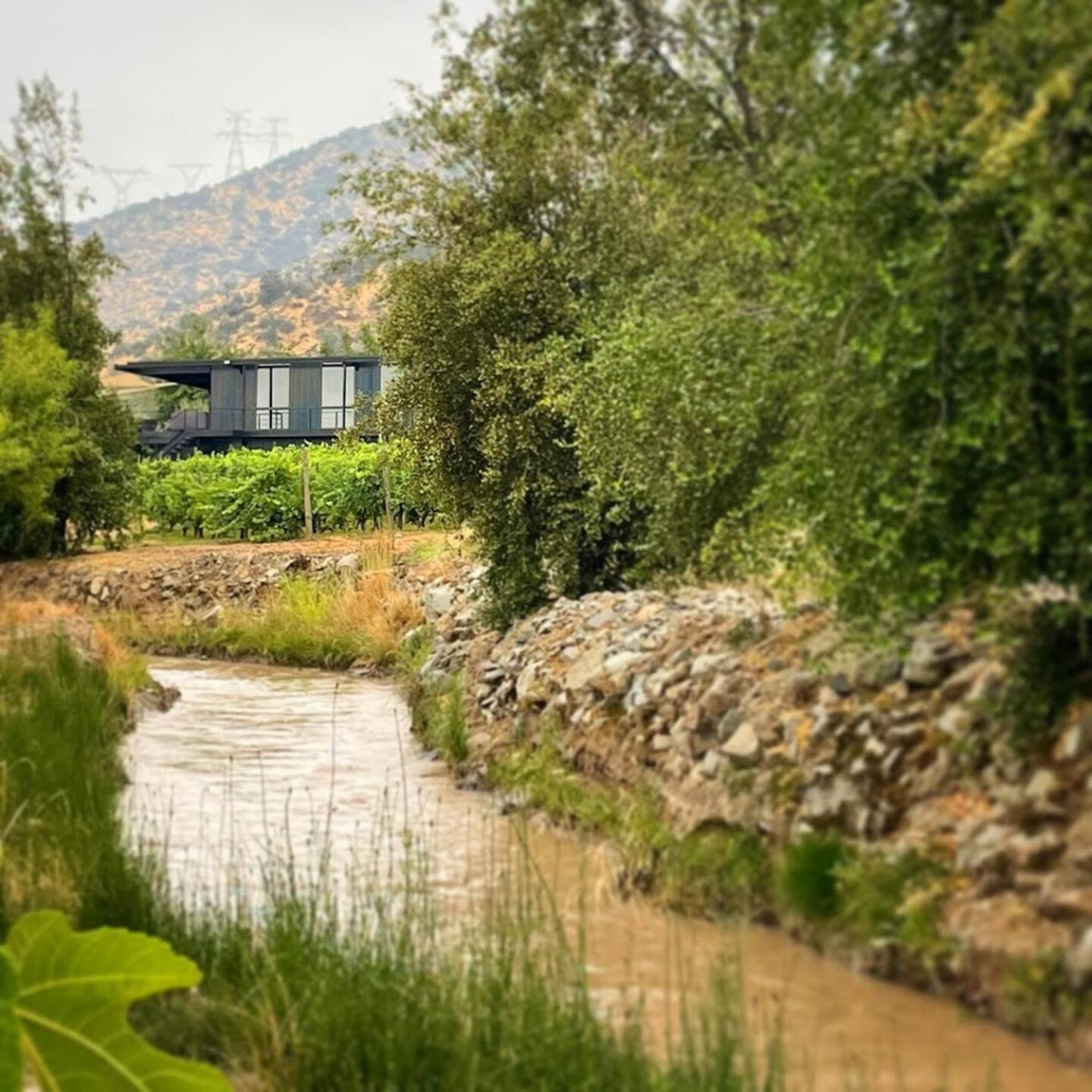 Vina Lof - Maipo Valley Bed & Breakfast In Winery Paine Eksteriør bilde