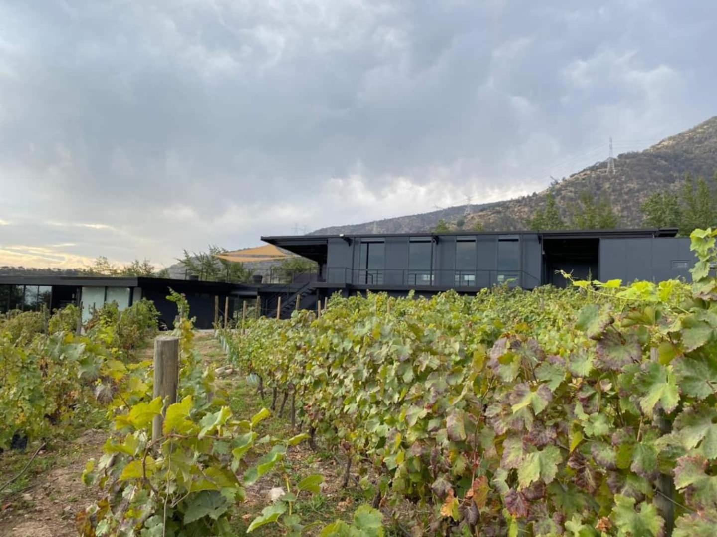 Vina Lof - Maipo Valley Bed & Breakfast In Winery Paine Eksteriør bilde