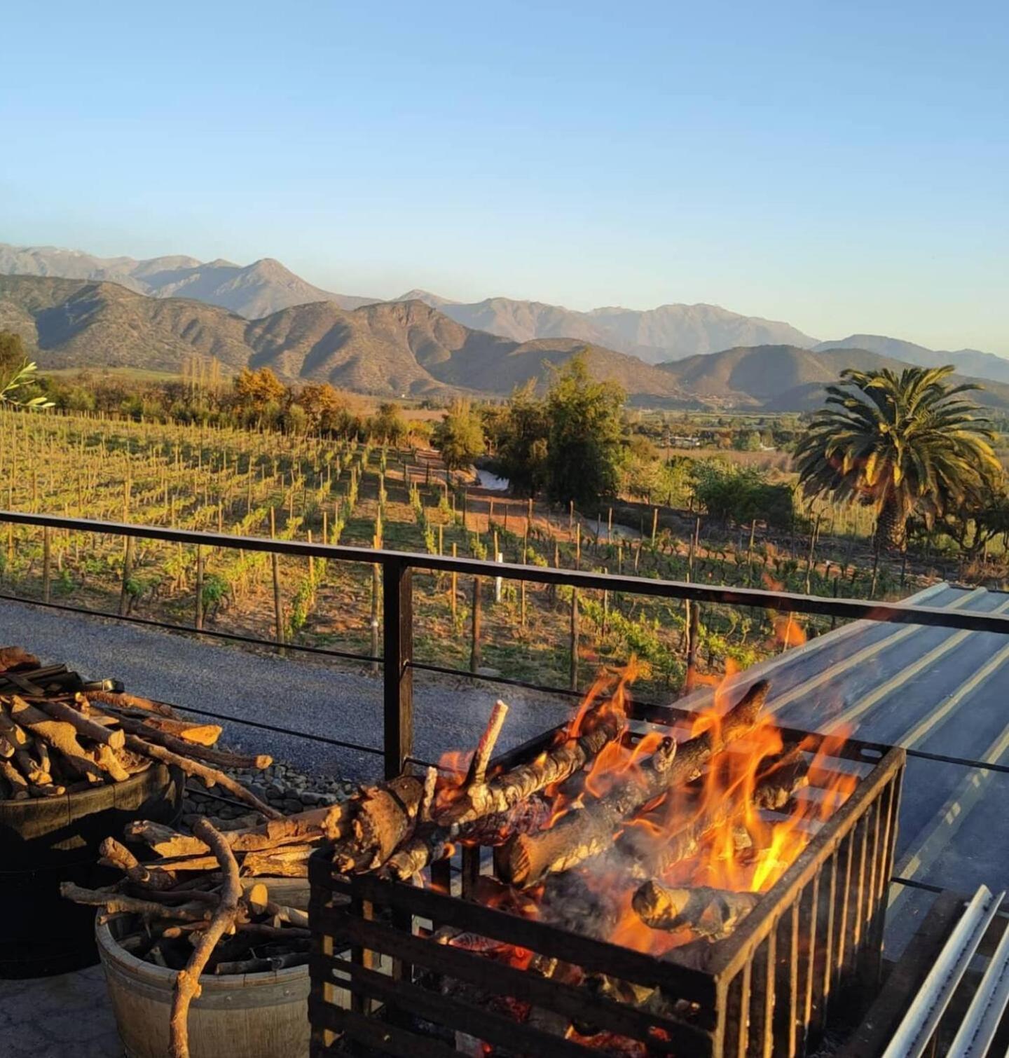 Vina Lof - Maipo Valley Bed & Breakfast In Winery Paine Eksteriør bilde