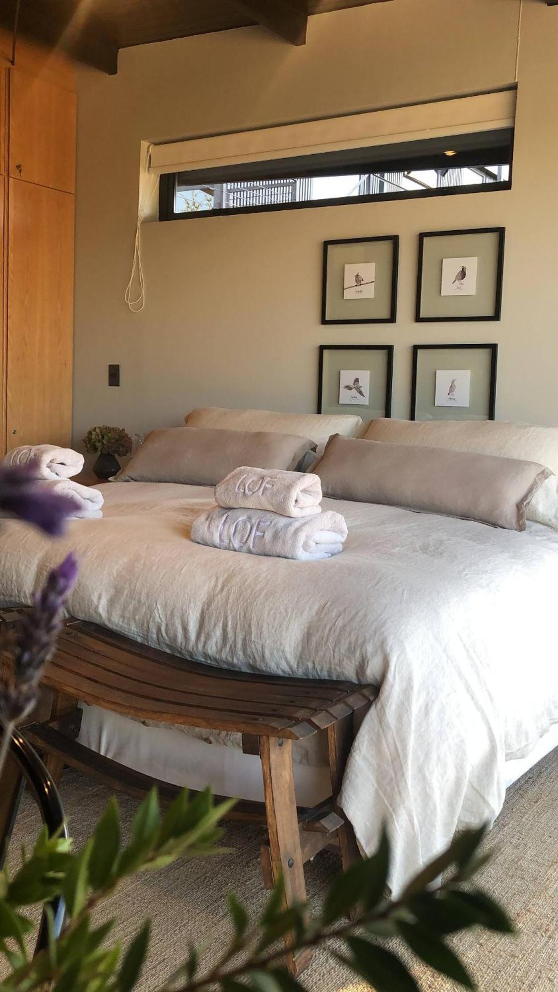Vina Lof - Maipo Valley Bed & Breakfast In Winery Paine Eksteriør bilde