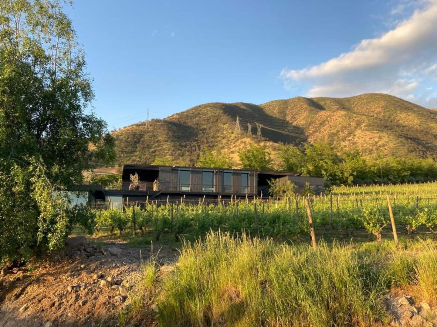 Vina Lof - Maipo Valley Bed & Breakfast In Winery Paine Eksteriør bilde